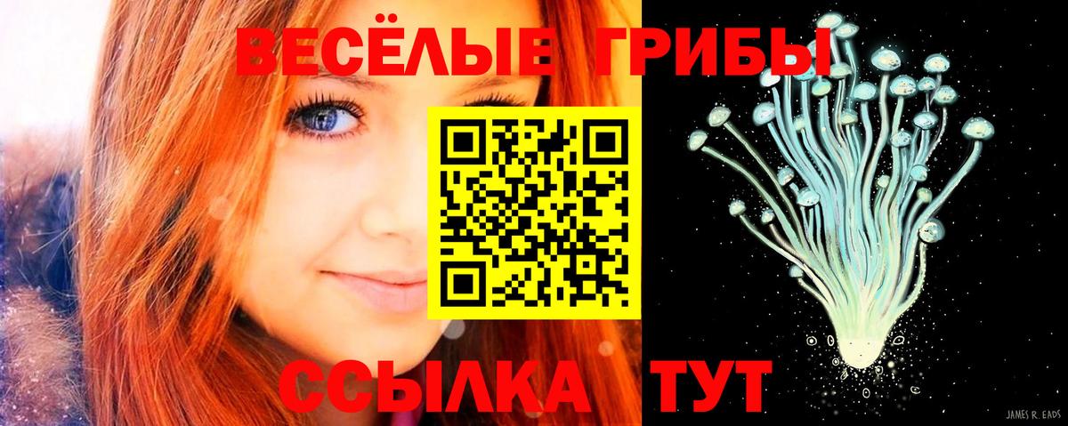 Казань  Галлюциногенные грибы GOLDEN TEACHER  Вход с VPN  Галлюциногенные грибы ЛСД 