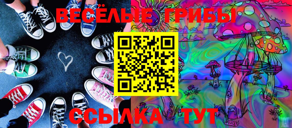 Псилоцибиновые грибы Psilocybe Казань